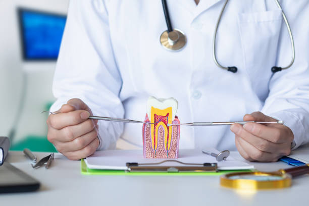 Best Emergency Tooth Extraction in Limon, CO